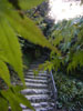 写真2