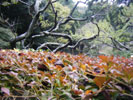 写真3
